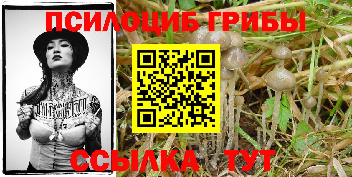 Галлюциногенные грибы мухоморы  Вход с VPN  Галлюциногенные грибы Cubensis  Кимовск 